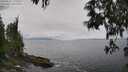 ./images/koeye/fitz-hugh/20250521/fitz-hugh20250521_115509M.jpg