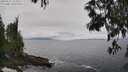 ./images/koeye/fitz-hugh/20250521/fitz-hugh20250521_121010M.jpg
