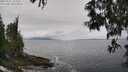 ./images/koeye/fitz-hugh/20250521/fitz-hugh20250521_122510M.jpg