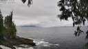 ./images/koeye/fitz-hugh/20250521/fitz-hugh20250521_123510M.jpg