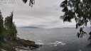 ./images/koeye/fitz-hugh/20250521/fitz-hugh20250521_124510M.jpg