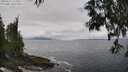 ./images/koeye/fitz-hugh/20250521/fitz-hugh20250521_125010M.jpg