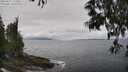 ./images/koeye/fitz-hugh/20250521/fitz-hugh20250521_125509M.jpg