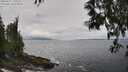./images/koeye/fitz-hugh/20250521/fitz-hugh20250521_130509M.jpg