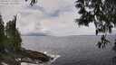 ./images/koeye/fitz-hugh/20250521/fitz-hugh20250521_132011M.jpg