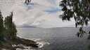 ./images/koeye/fitz-hugh/20250521/fitz-hugh20250521_133011M.jpg