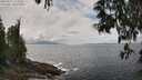 ./images/koeye/fitz-hugh/20250521/fitz-hugh20250521_133510M.jpg