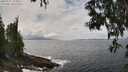 ./images/koeye/fitz-hugh/20250521/fitz-hugh20250521_134011M.jpg