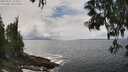 ./images/koeye/fitz-hugh/20250521/fitz-hugh20250521_135010M.jpg