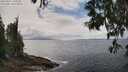 ./images/koeye/fitz-hugh/20250521/fitz-hugh20250521_140012M.jpg