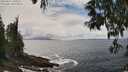./images/koeye/fitz-hugh/20250521/fitz-hugh20250521_140510M.jpg