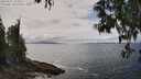./images/koeye/fitz-hugh/20250521/fitz-hugh20250521_142010M.jpg