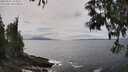 ./images/koeye/fitz-hugh/20250521/fitz-hugh20250521_144510M.jpg