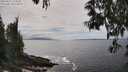 ./images/koeye/fitz-hugh/20250521/fitz-hugh20250521_150011M.jpg