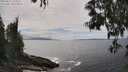 ./images/koeye/fitz-hugh/20250521/fitz-hugh20250521_150509M.jpg
