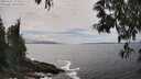 ./images/koeye/fitz-hugh/20250521/fitz-hugh20250521_151010M.jpg