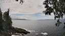 ./images/koeye/fitz-hugh/20250521/fitz-hugh20250521_151511M.jpg