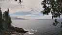 ./images/koeye/fitz-hugh/20250521/fitz-hugh20250521_153011M.jpg