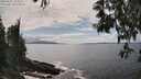 ./images/koeye/fitz-hugh/20250521/fitz-hugh20250521_153510M.jpg