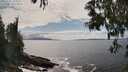 ./images/koeye/fitz-hugh/20250521/fitz-hugh20250521_154510M.jpg