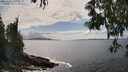 ./images/koeye/fitz-hugh/20250521/fitz-hugh20250521_155010M.jpg
