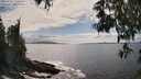 ./images/koeye/fitz-hugh/20250521/fitz-hugh20250521_155510M.jpg