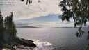 ./images/koeye/fitz-hugh/20250521/fitz-hugh20250521_161510M.jpg