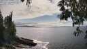 ./images/koeye/fitz-hugh/20250521/fitz-hugh20250521_162007M.jpg
