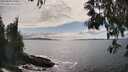 ./images/koeye/fitz-hugh/20250521/fitz-hugh20250521_162510M.jpg