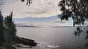 ./images/koeye/fitz-hugh/20250521/fitz-hugh20250521_163509M.jpg