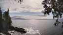 ./images/koeye/fitz-hugh/20250521/fitz-hugh20250521_164510M.jpg