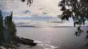 ./images/koeye/fitz-hugh/20250521/fitz-hugh20250521_165010M.jpg