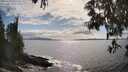 ./images/koeye/fitz-hugh/20250521/fitz-hugh20250521_165510M.jpg