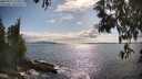 ./images/koeye/fitz-hugh/20250521/fitz-hugh20250521_171010M.jpg