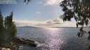 ./images/koeye/fitz-hugh/20250521/fitz-hugh20250521_171509M.jpg