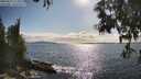 ./images/koeye/fitz-hugh/20250521/fitz-hugh20250521_172011M.jpg