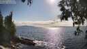 ./images/koeye/fitz-hugh/20250521/fitz-hugh20250521_172509M.jpg