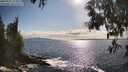 ./images/koeye/fitz-hugh/20250521/fitz-hugh20250521_173010M.jpg
