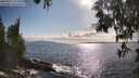 ./images/koeye/fitz-hugh/20250521/fitz-hugh20250521_173509M.jpg