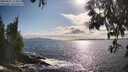 ./images/koeye/fitz-hugh/20250521/fitz-hugh20250521_174010M.jpg