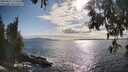 ./images/koeye/fitz-hugh/20250521/fitz-hugh20250521_174511M.jpg