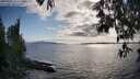 ./images/koeye/fitz-hugh/20250521/fitz-hugh20250521_180012M.jpg