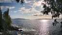 ./images/koeye/fitz-hugh/20250521/fitz-hugh20250521_181511M.jpg