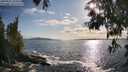 ./images/koeye/fitz-hugh/20250521/fitz-hugh20250521_182010M.jpg