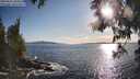 ./images/koeye/fitz-hugh/20250521/fitz-hugh20250521_184511M.jpg