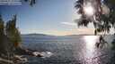 ./images/koeye/fitz-hugh/20250521/fitz-hugh20250521_185011M.jpg