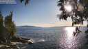 ./images/koeye/fitz-hugh/20250521/fitz-hugh20250521_185508M.jpg