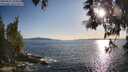 ./images/koeye/fitz-hugh/20250521/fitz-hugh20250521_190007M.jpg