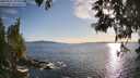 ./images/koeye/fitz-hugh/20250521/fitz-hugh20250521_191007M.jpg