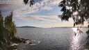 ./images/koeye/fitz-hugh/20250521/fitz-hugh20250521_193009M.jpg